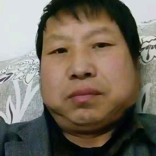 秦岭中蜂
