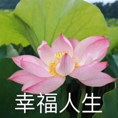 相亲相爱的一家人
