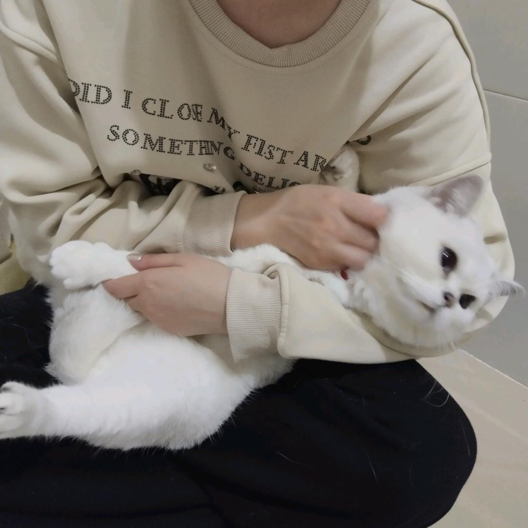蒙