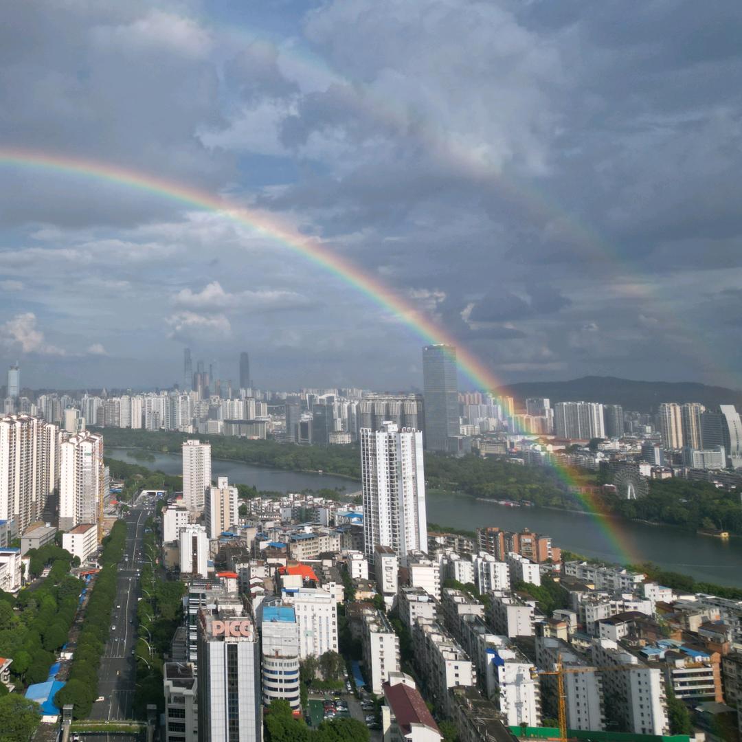 掘金之翼
