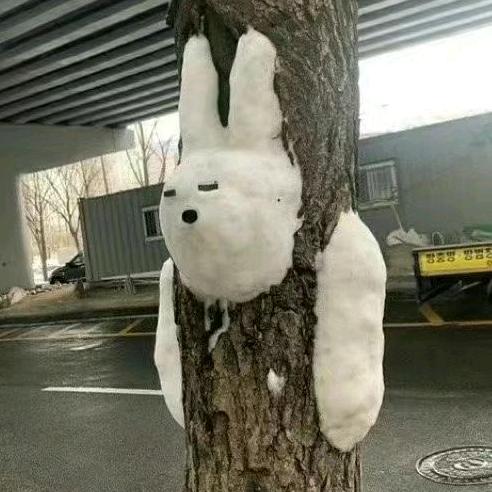 雅馨雅沁
