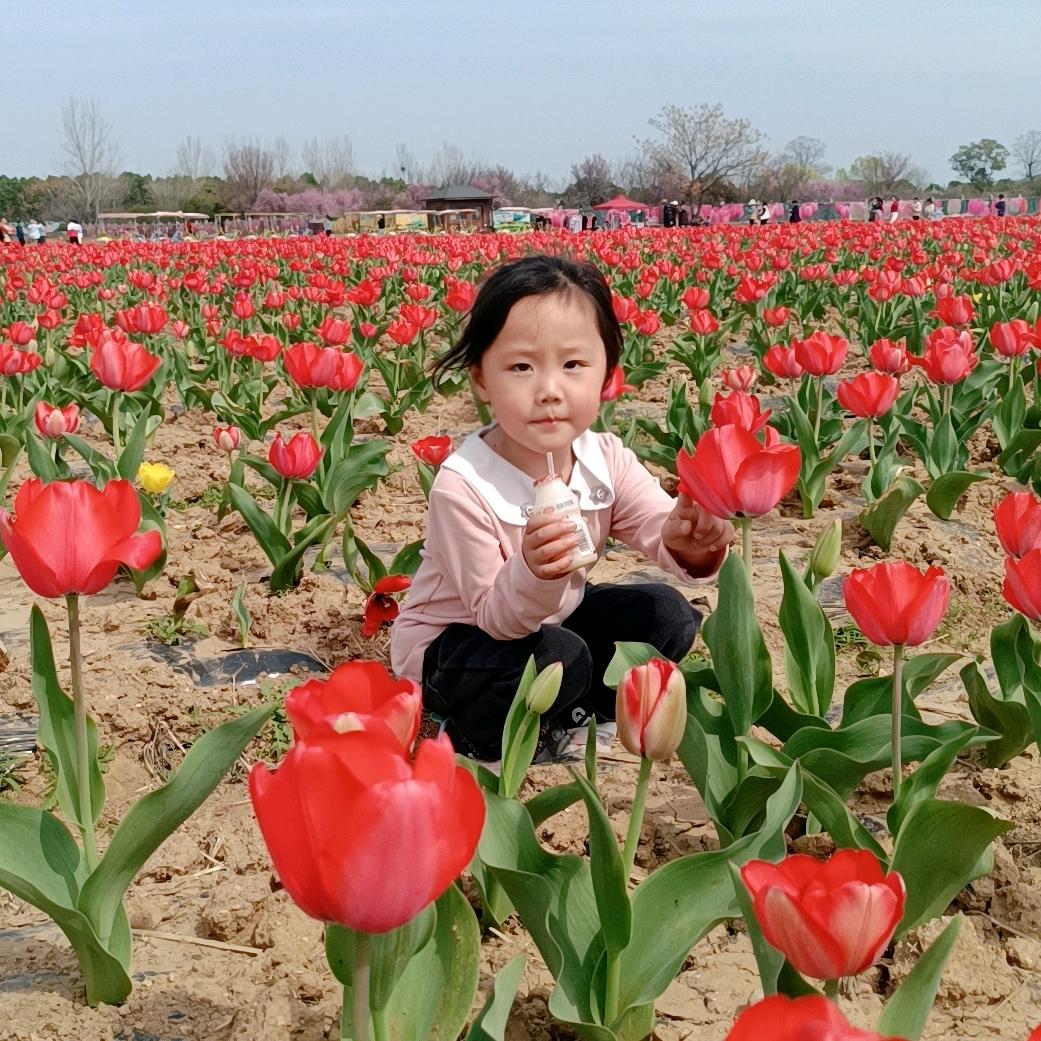 懂