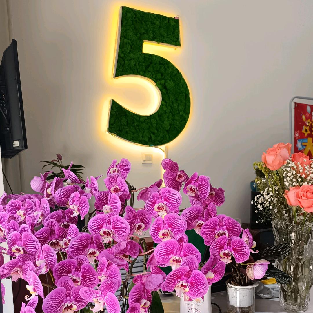 聚实惠精品百货