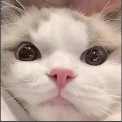 愿你天天开心