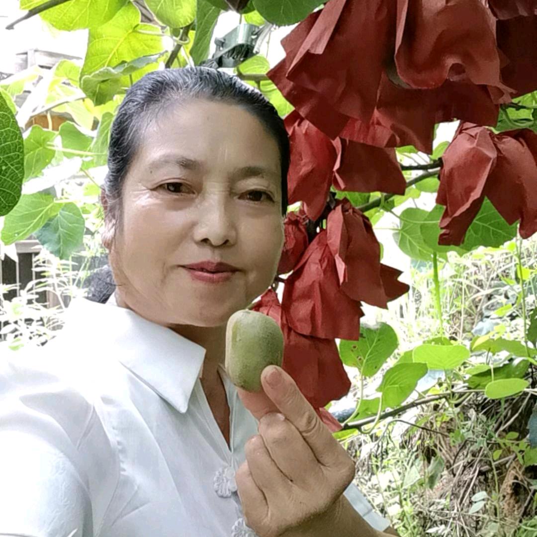 我种植赣南脐橙兰姐1234567891