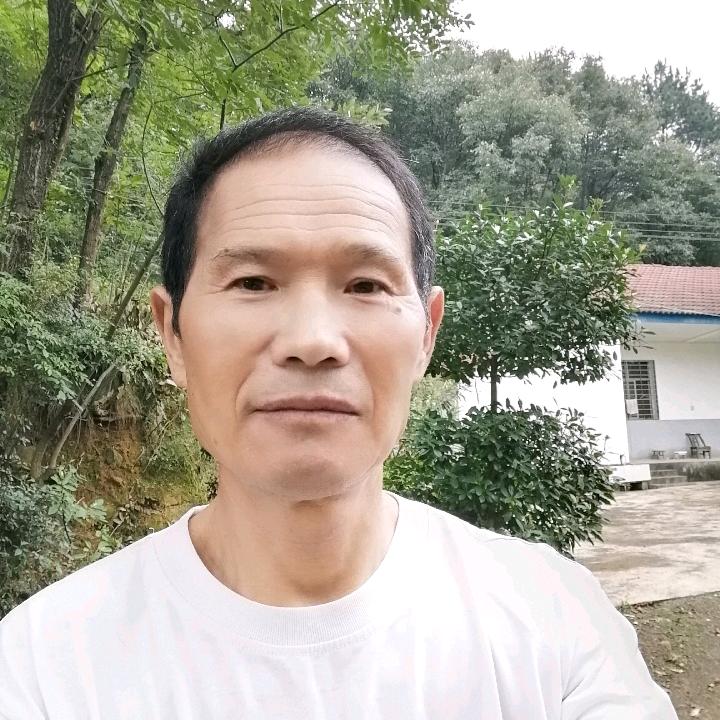 金志哥
