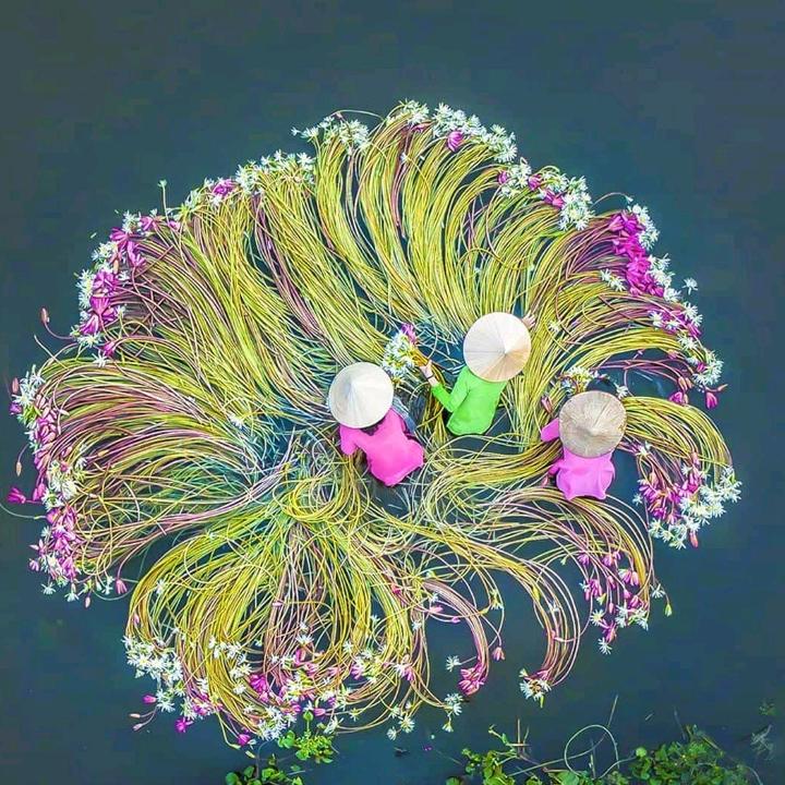 凌云家电广场王凤琴