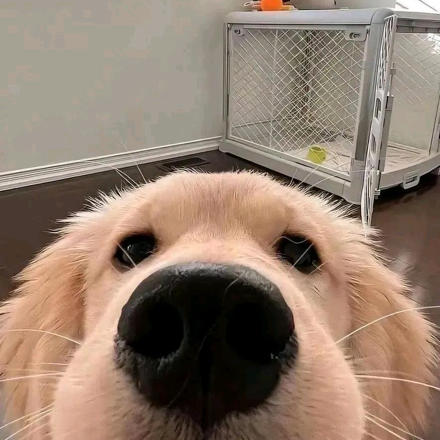 知我忧