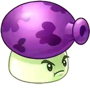 🟣🟣 🟣🟣 🟣🟣🟣