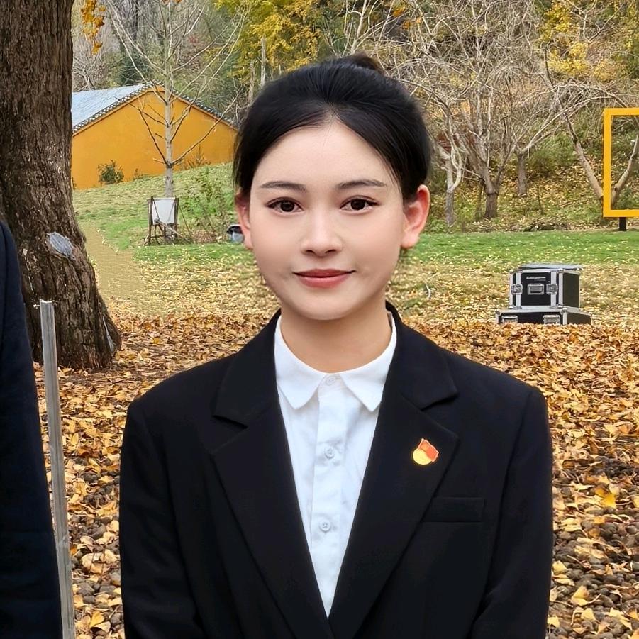 村主任何平
