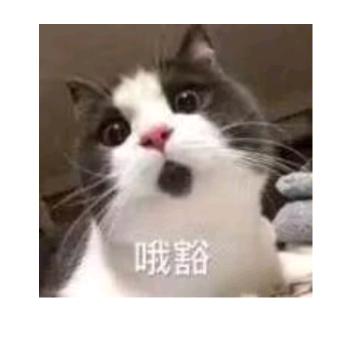 渔翁知深处