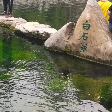 平安肖