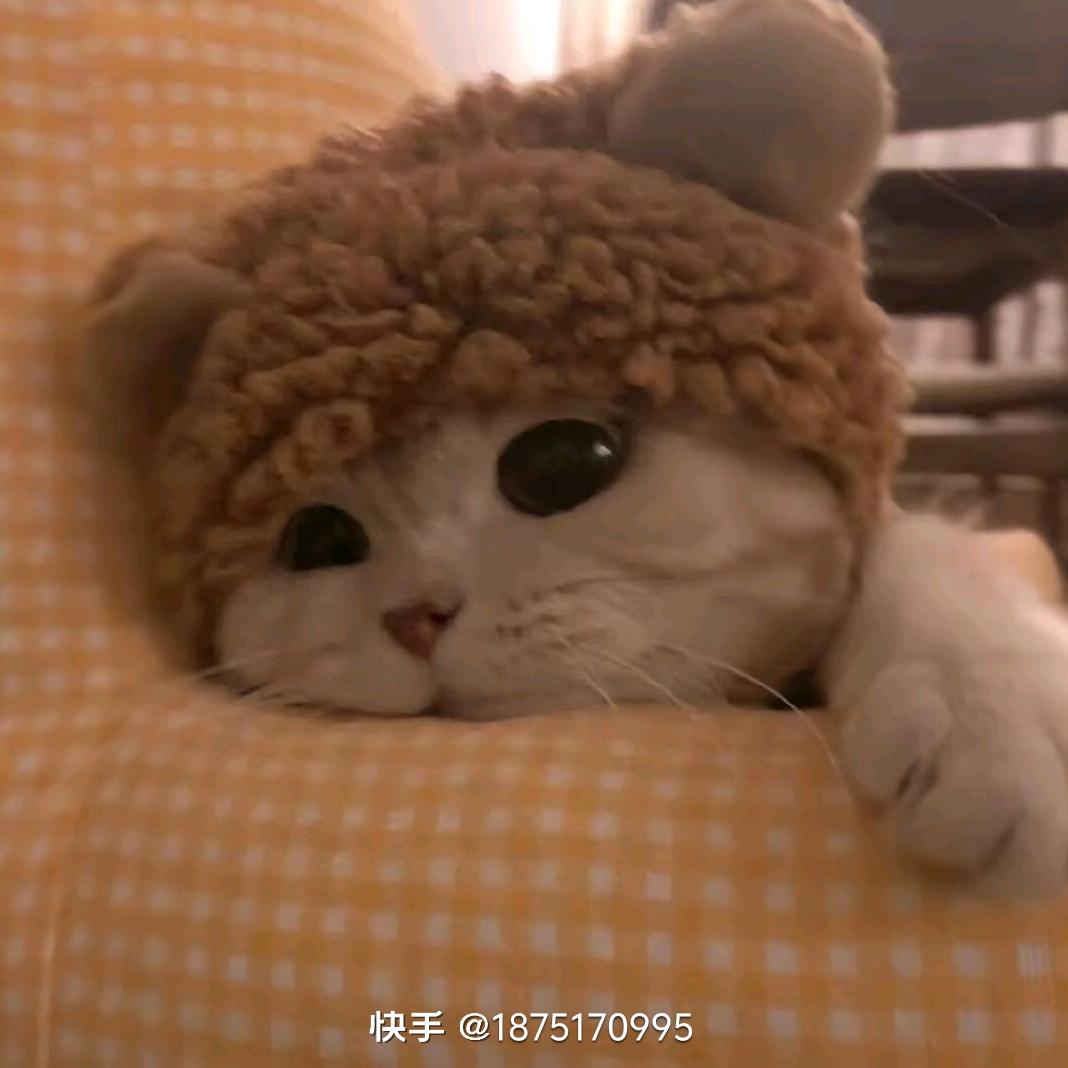 怼怼✔