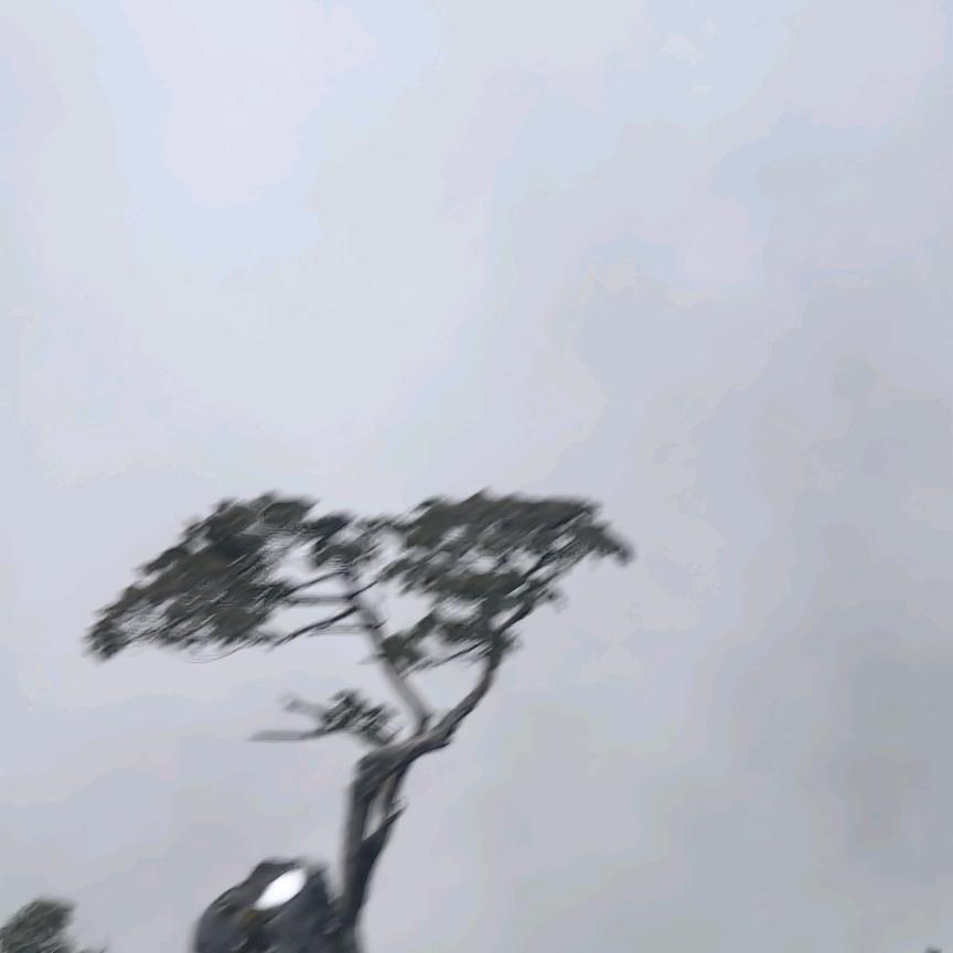 疯话学悦