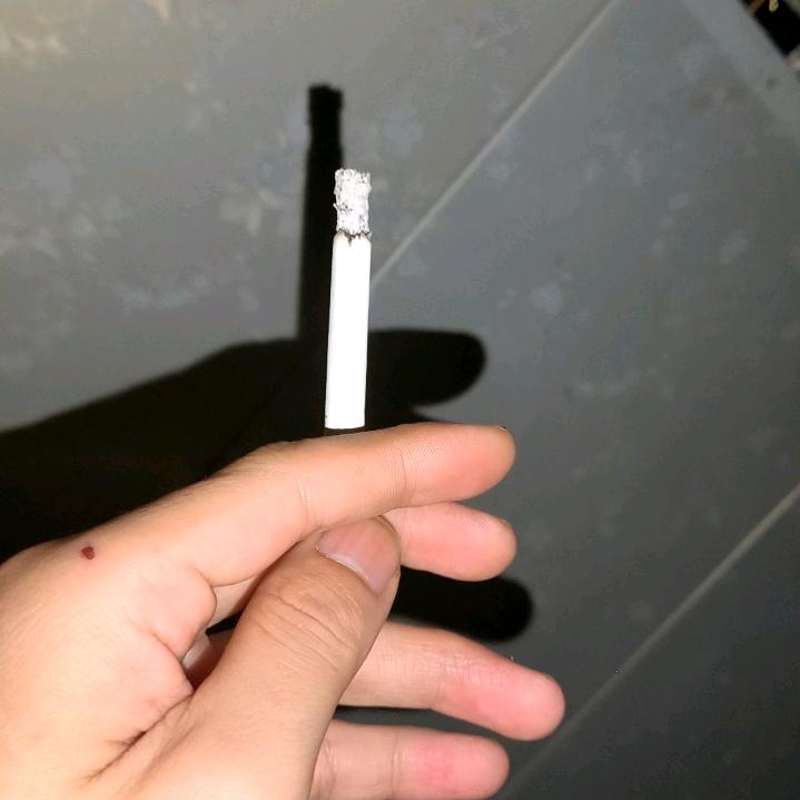 正月十五₇₃