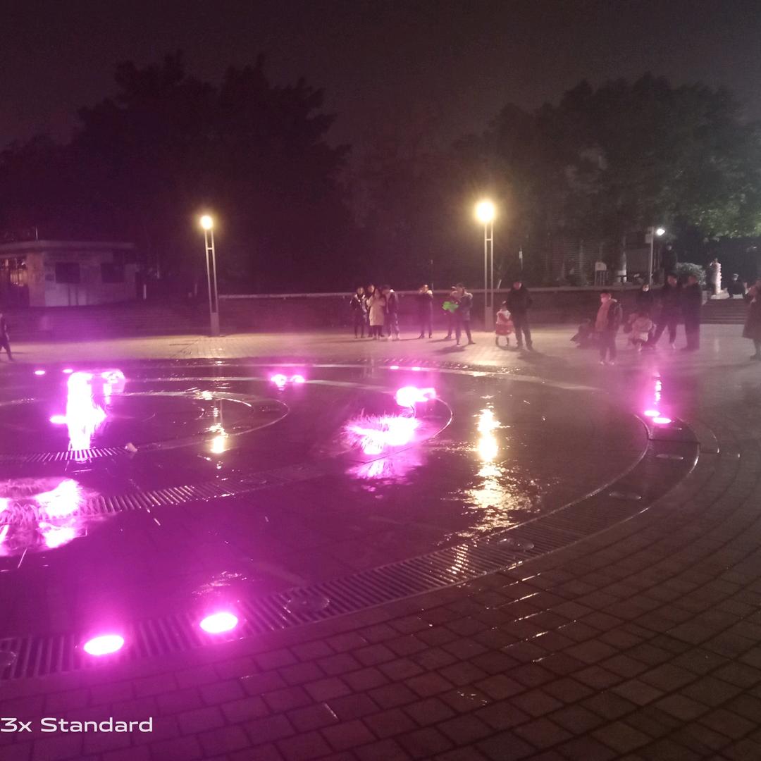 此生无憾别无所求