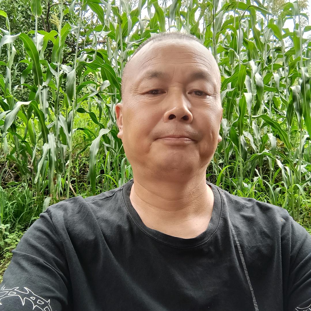 忠孝礼义
