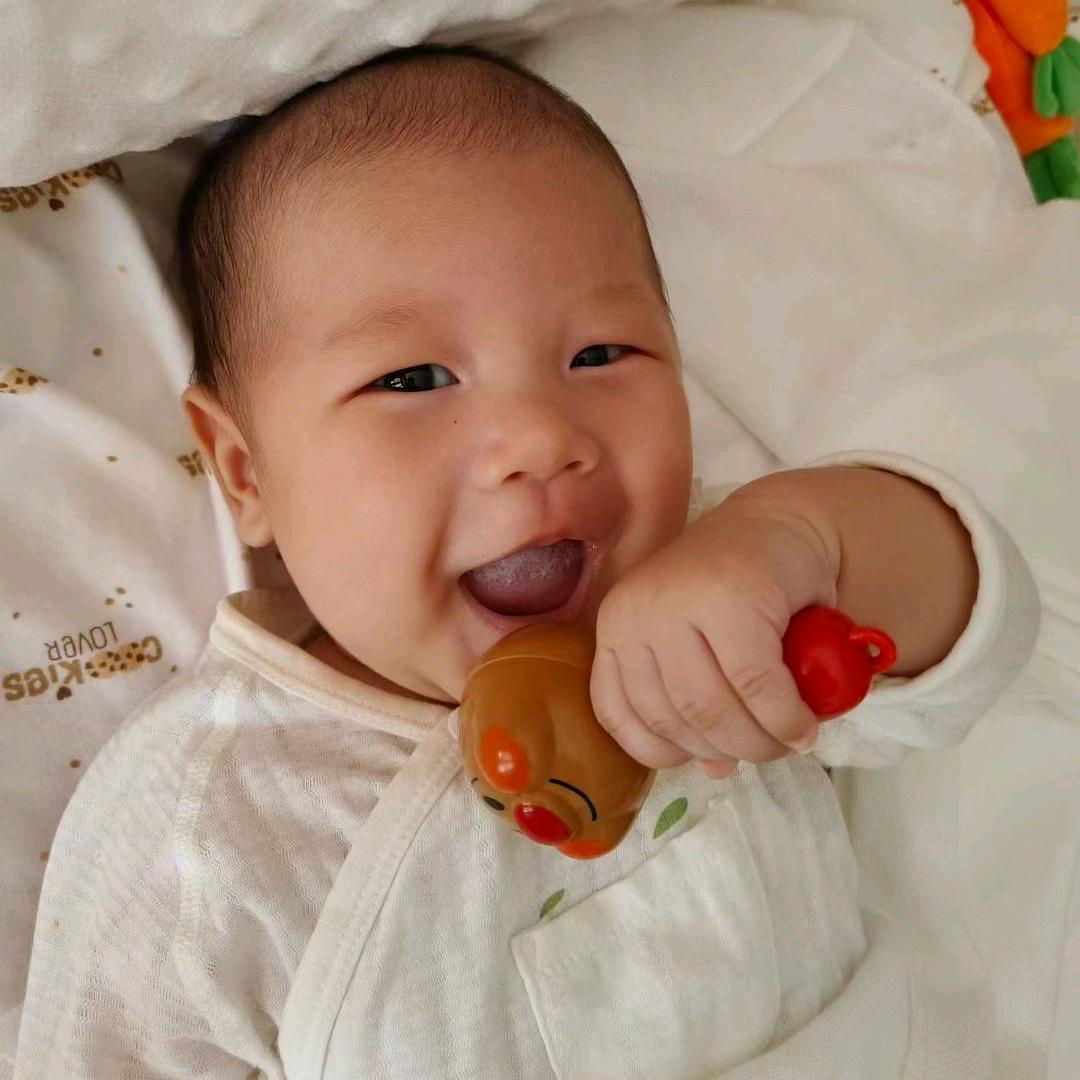 是小鑫鑫吖