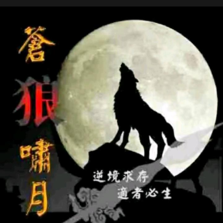孤独的单身。