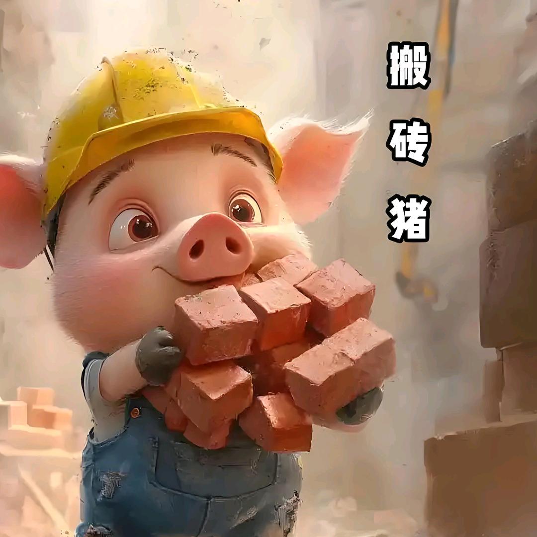 🐷搬砖猪🐷