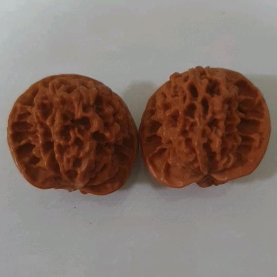 专爱传奇女主播