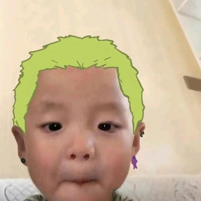 不羁的毛驴