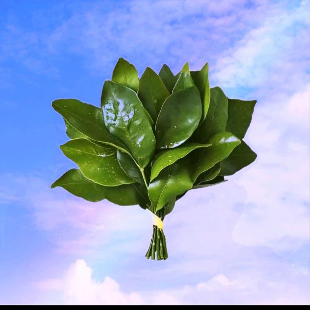 850