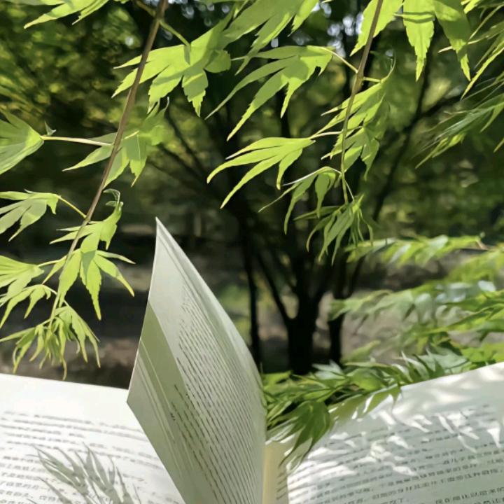 易米八