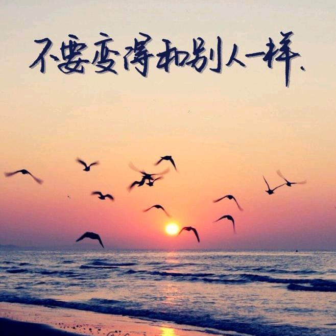 dream🌈