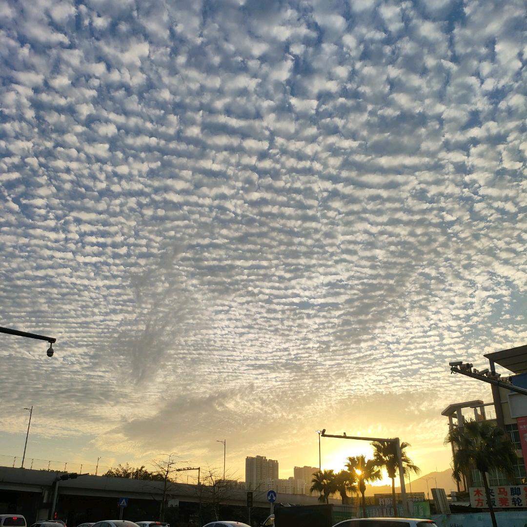 ༺ 杯中酒，敬于生༻