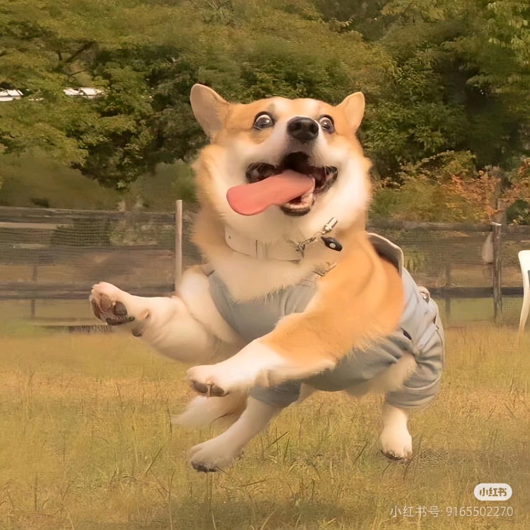 大大的二丫