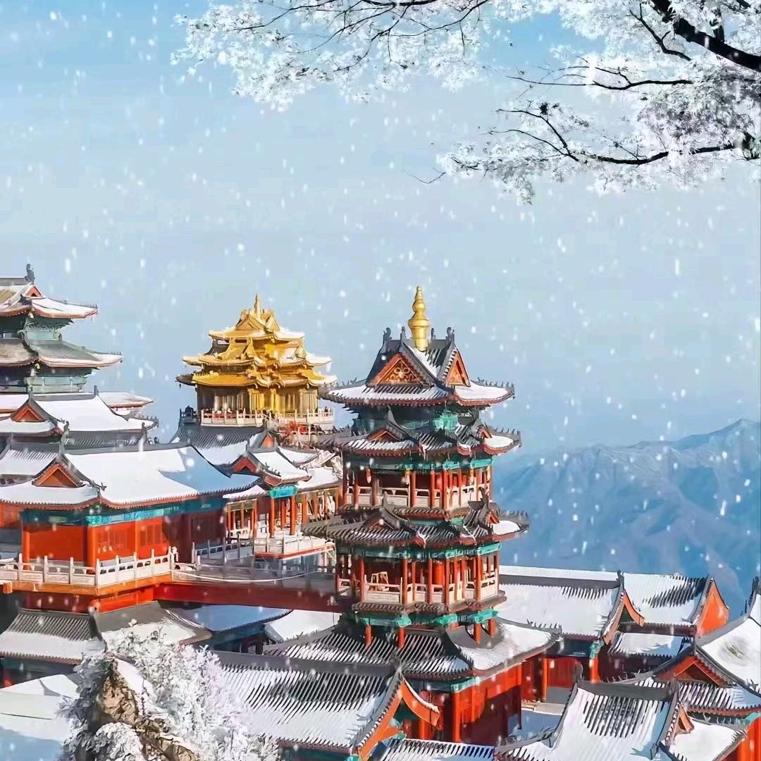 老君山拾今民宿