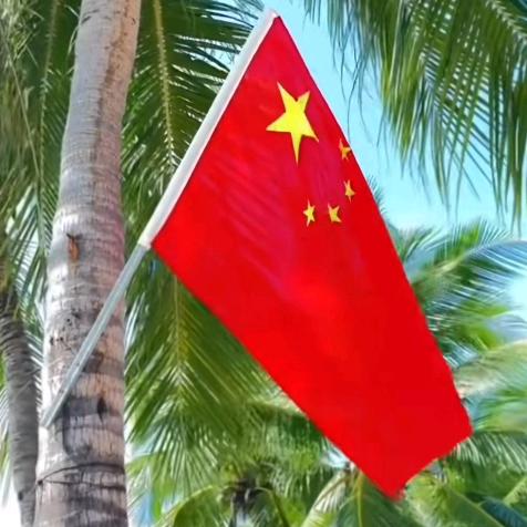 小锤锤