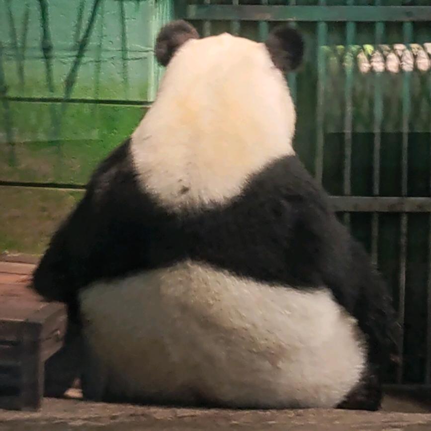 向前  向前  向前