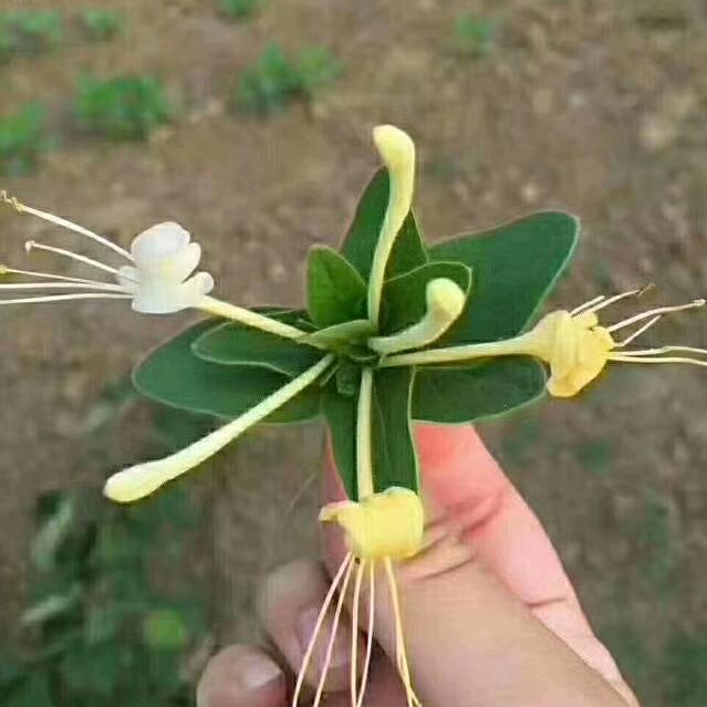 💐