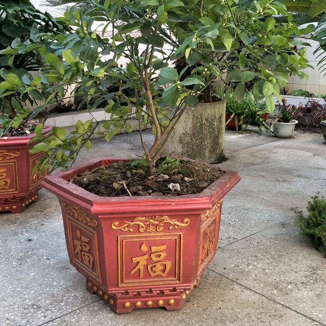 大叔做模