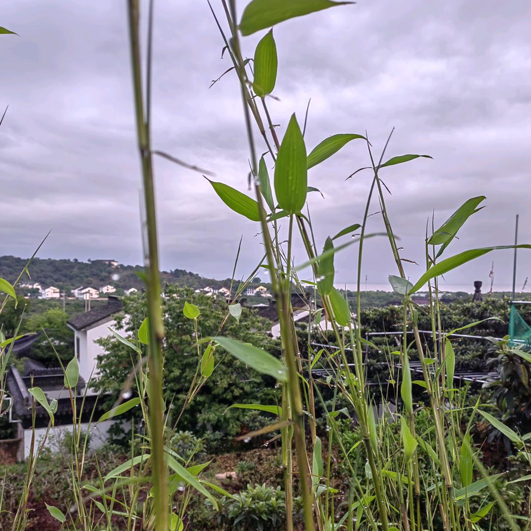 轻舟已过万重山