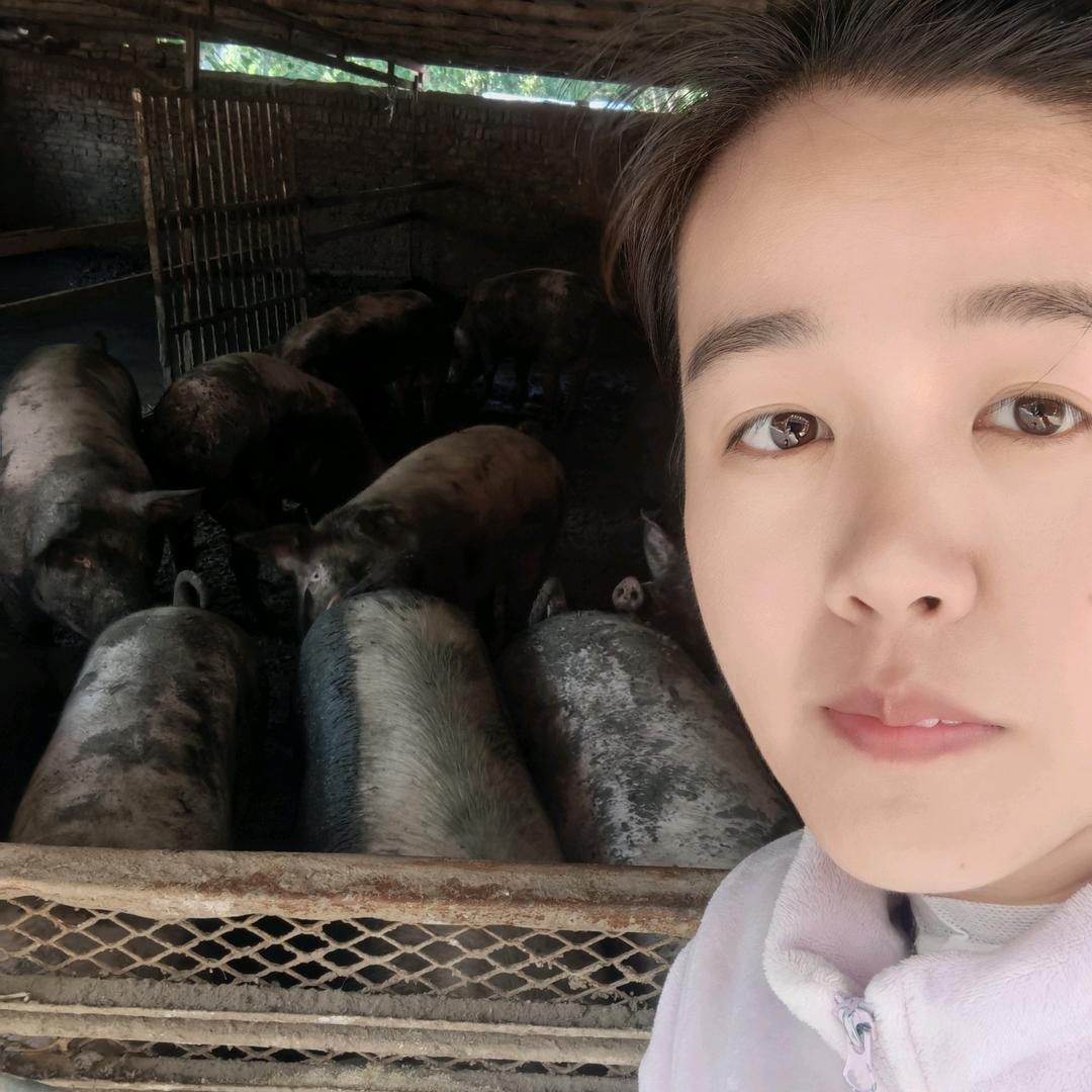 名优饲料