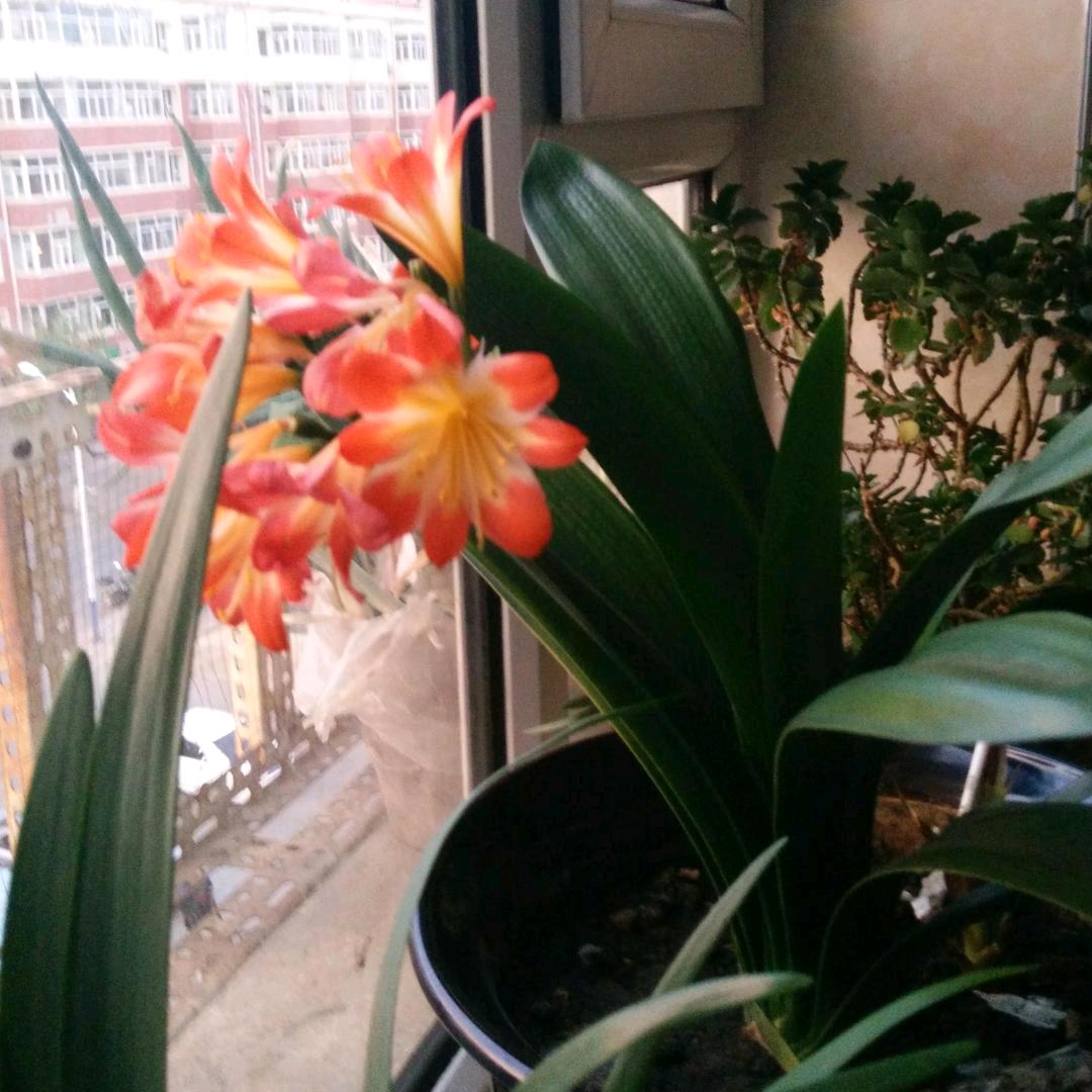 相惜，莫相忘！