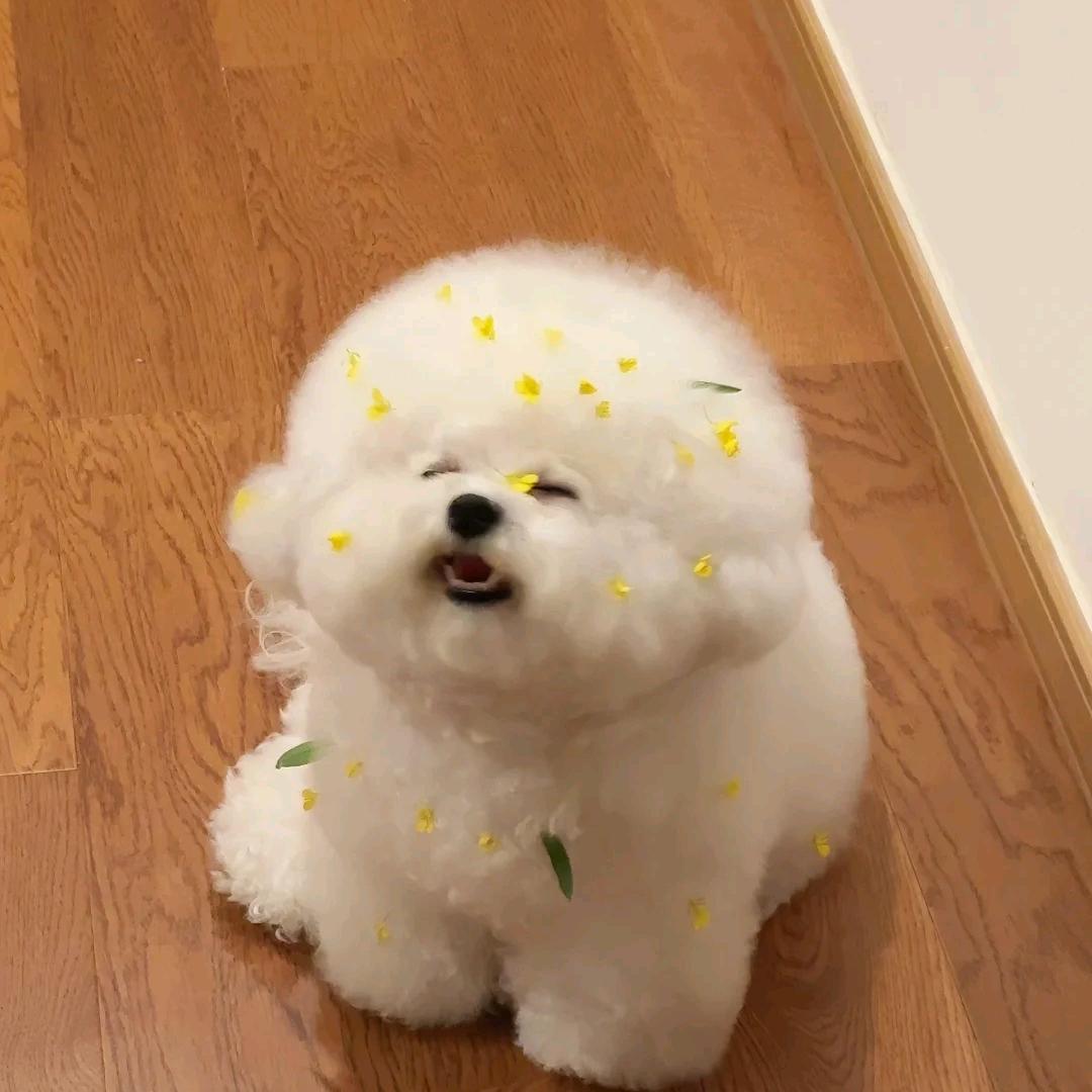 是闪闪闪