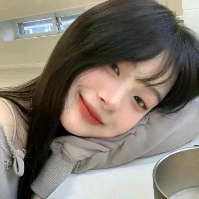 肆崽推文头像