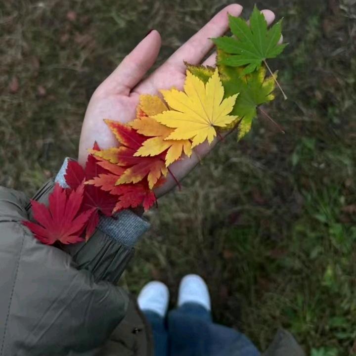 چۈشےنمےيسےོ