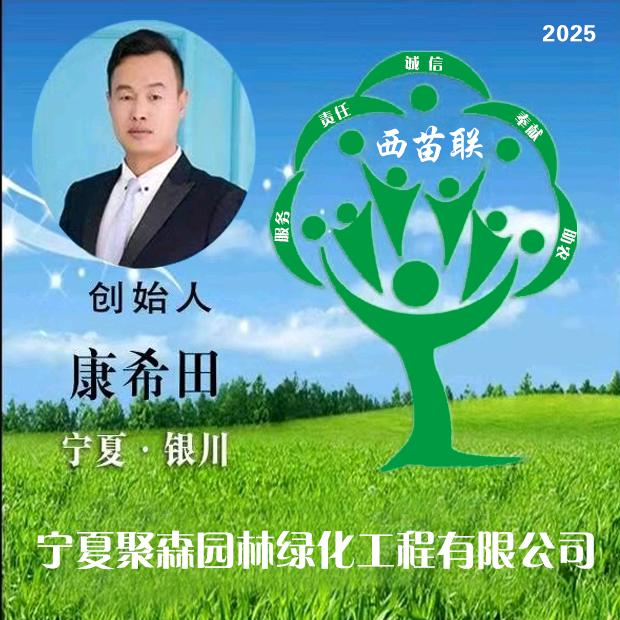 西苗联