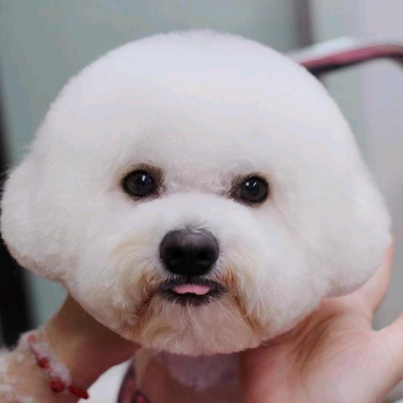 吃糖