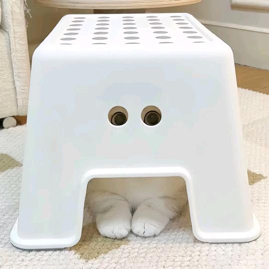 猜猜我是谁🌻