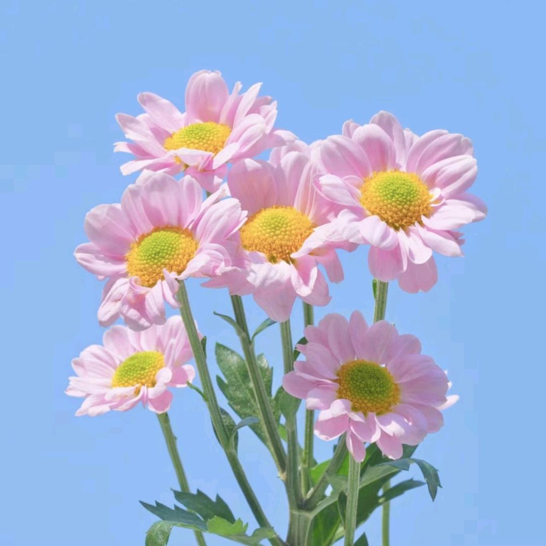 💞雨后彩虹💞