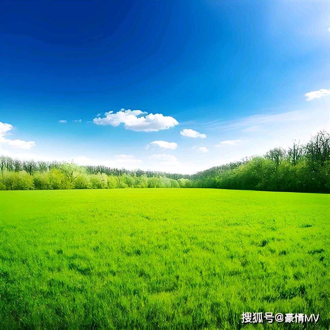 依依优选