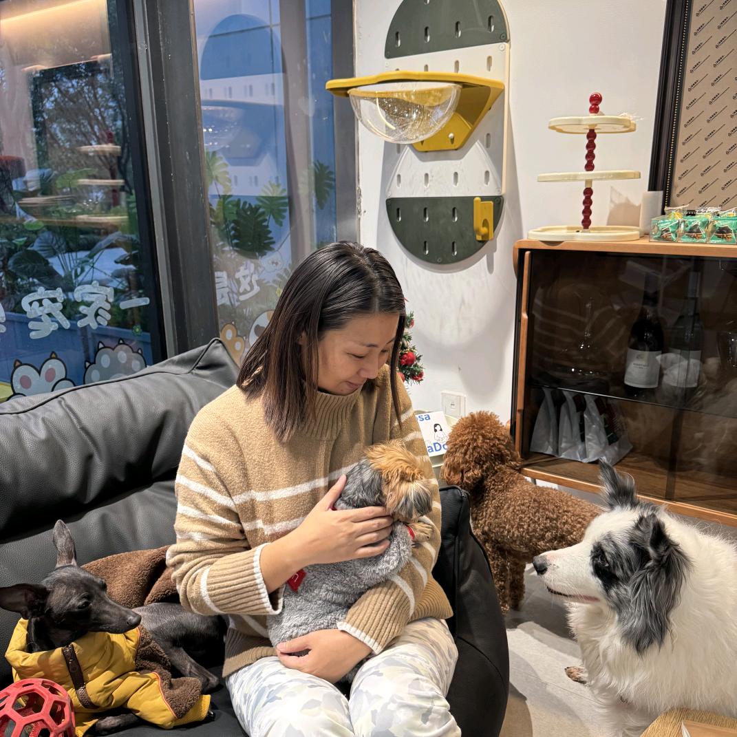 璐姐的猫猫狗狗