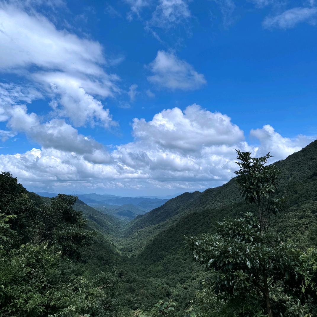 故乡的原风景