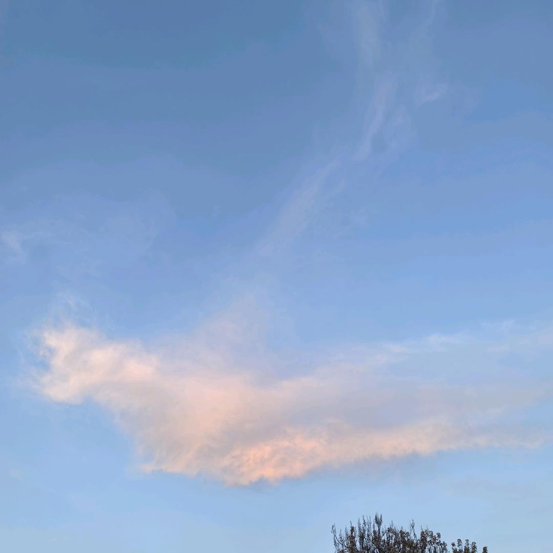 心静自空